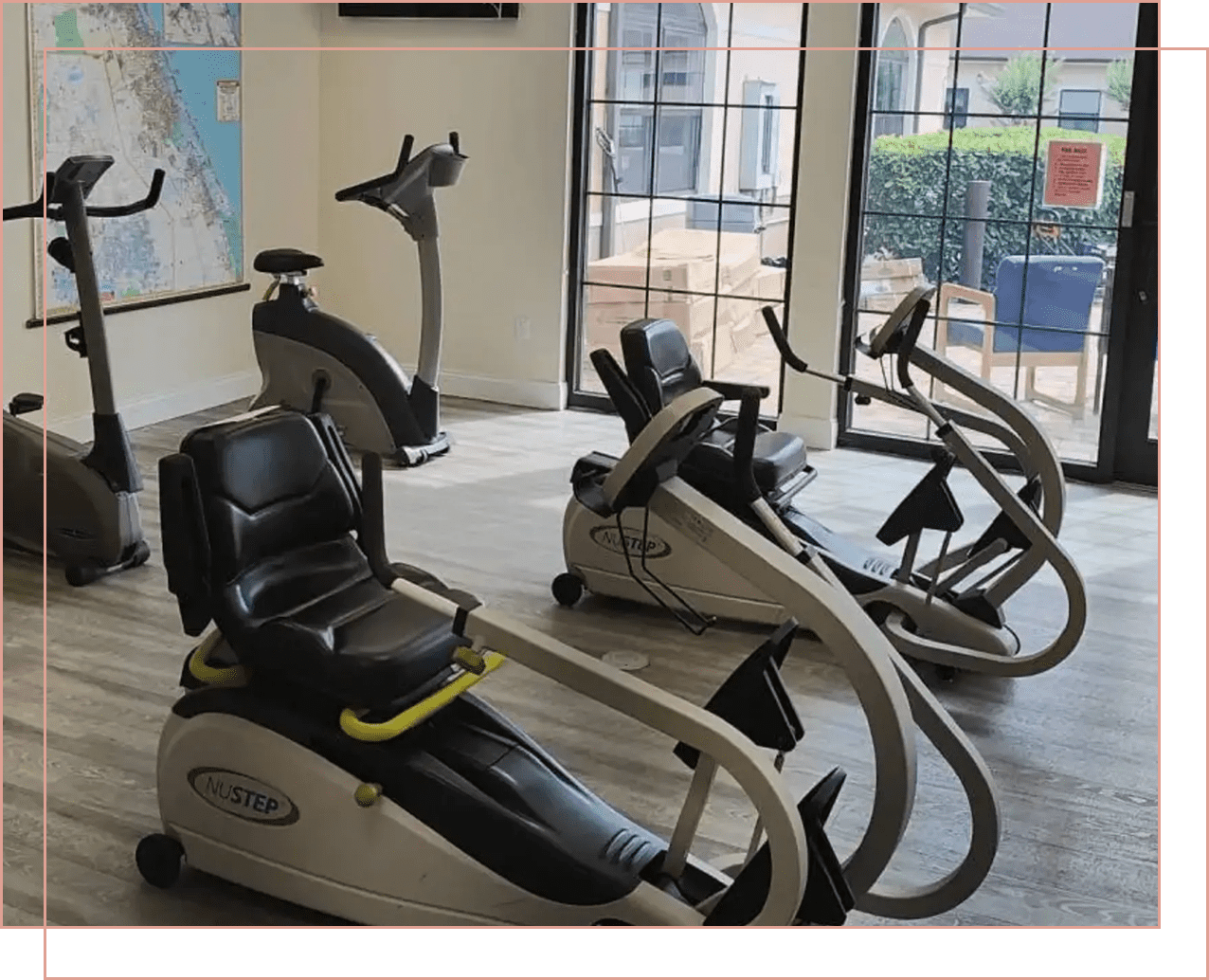 Indoor gym with modern exercise bikes near large windows.
